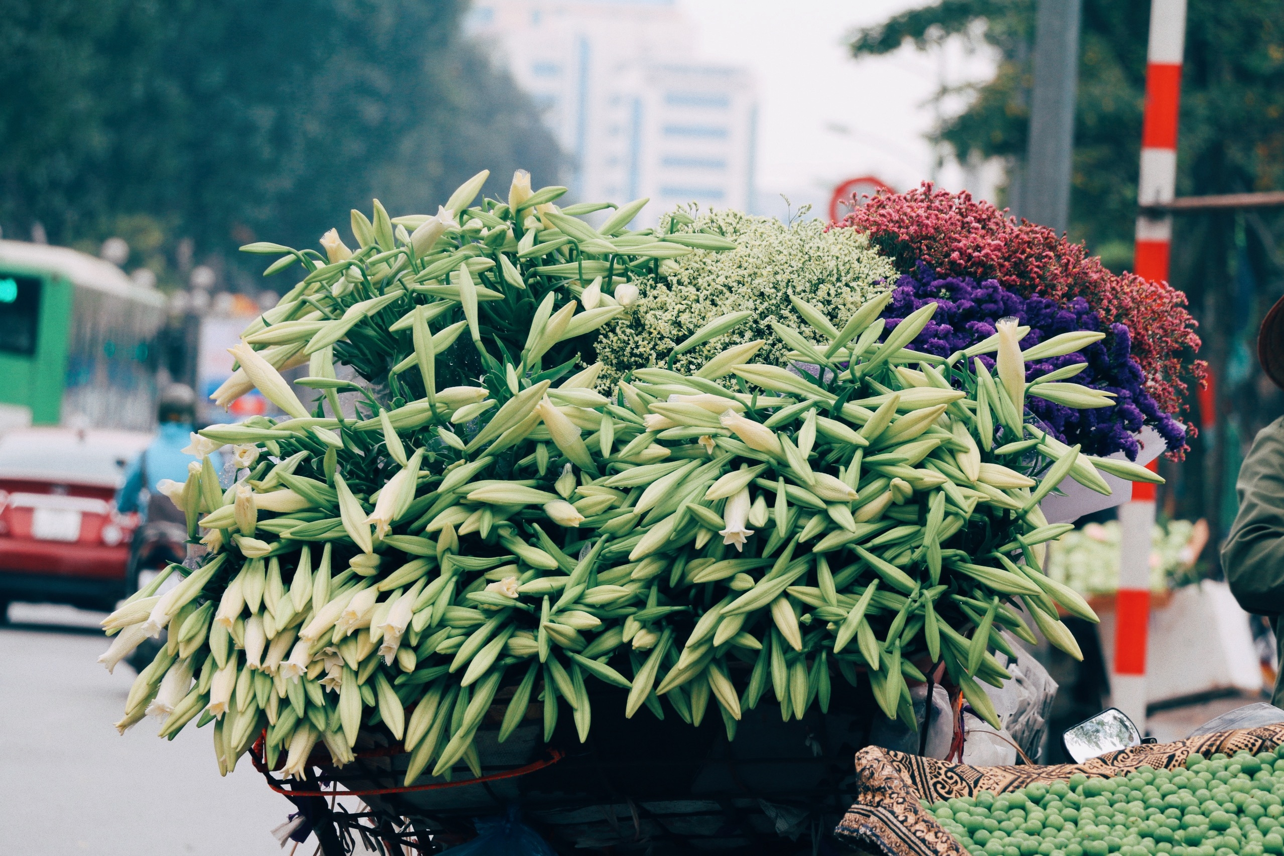 Nhạc – Bâng khuâng những ngày “Tháng Tư về”