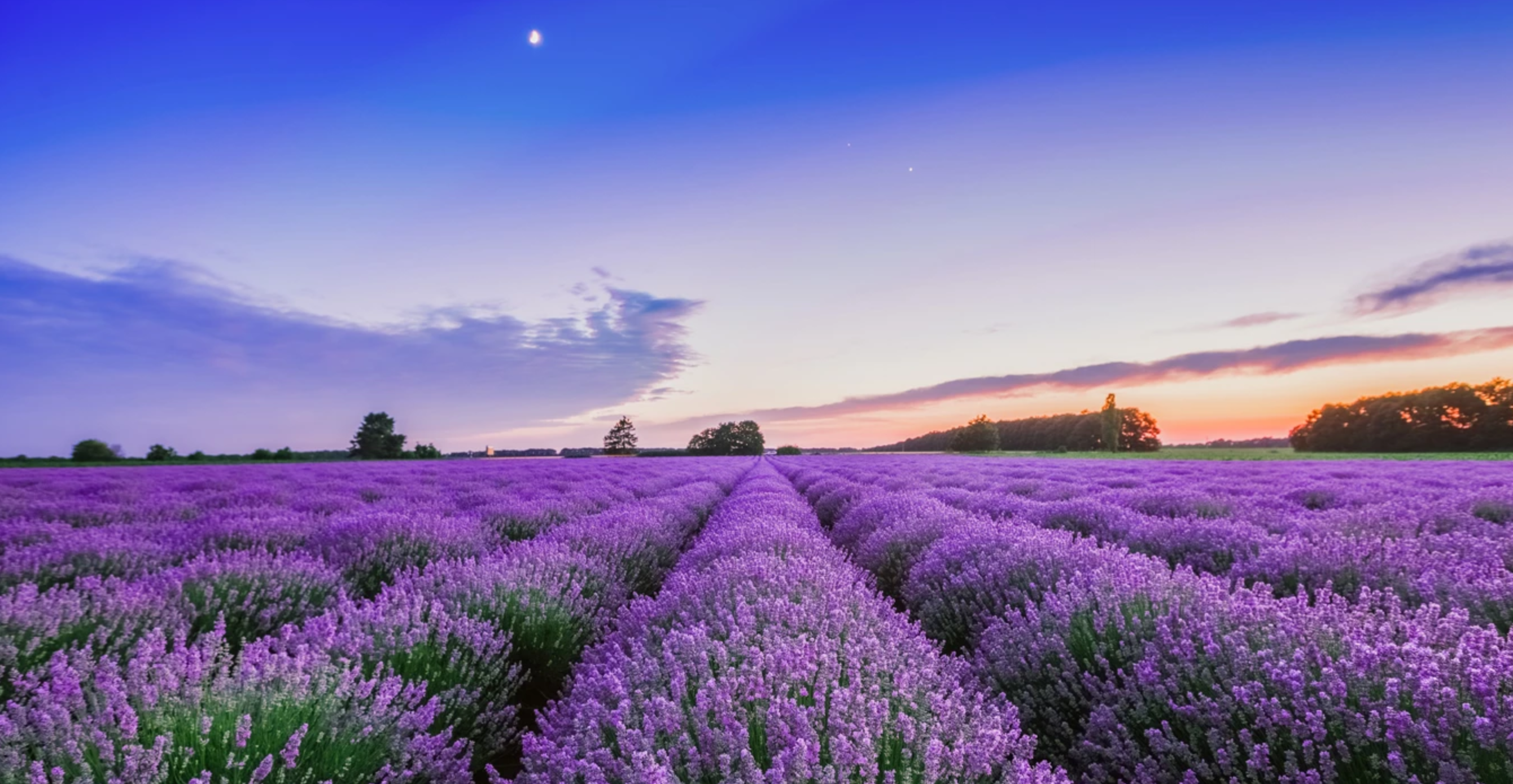 Viết ngắn – Cảm giác “ngón tay mình còn thơm mùi oải hương”