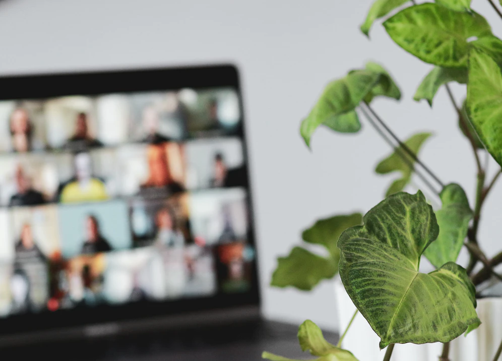 | Bebe | Học online và những ngày ở nhà